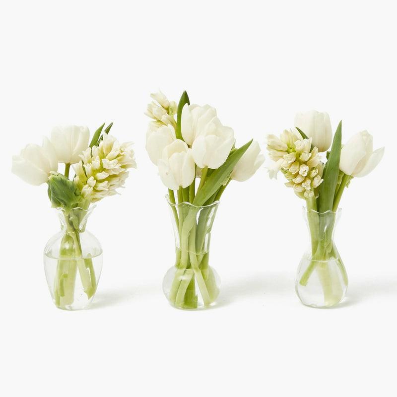 Ava Bud Vase Set Glassware