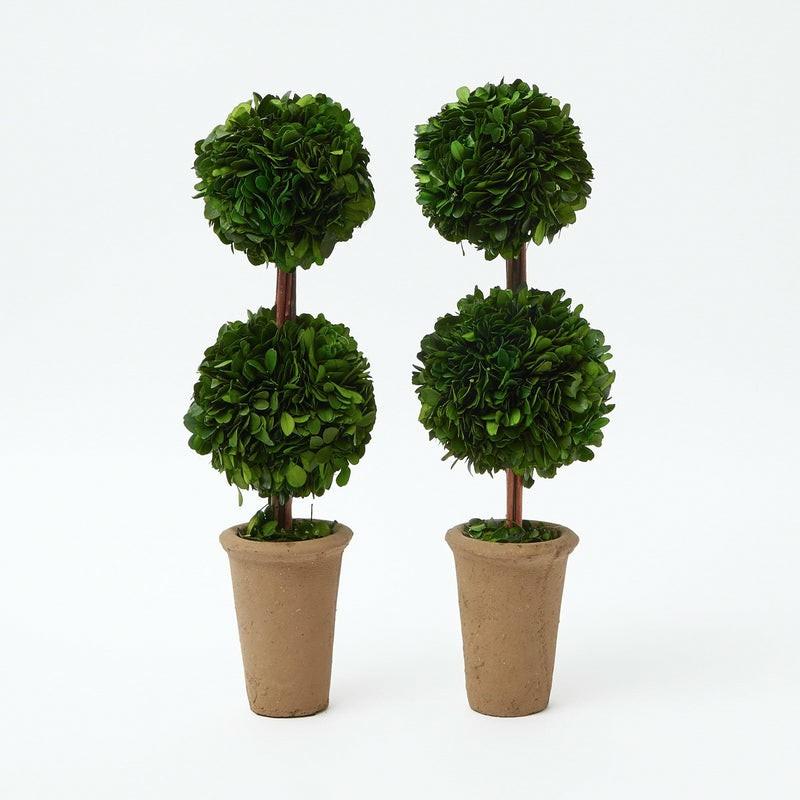 Double Potted Boxwood Balls (Pair) Decorations