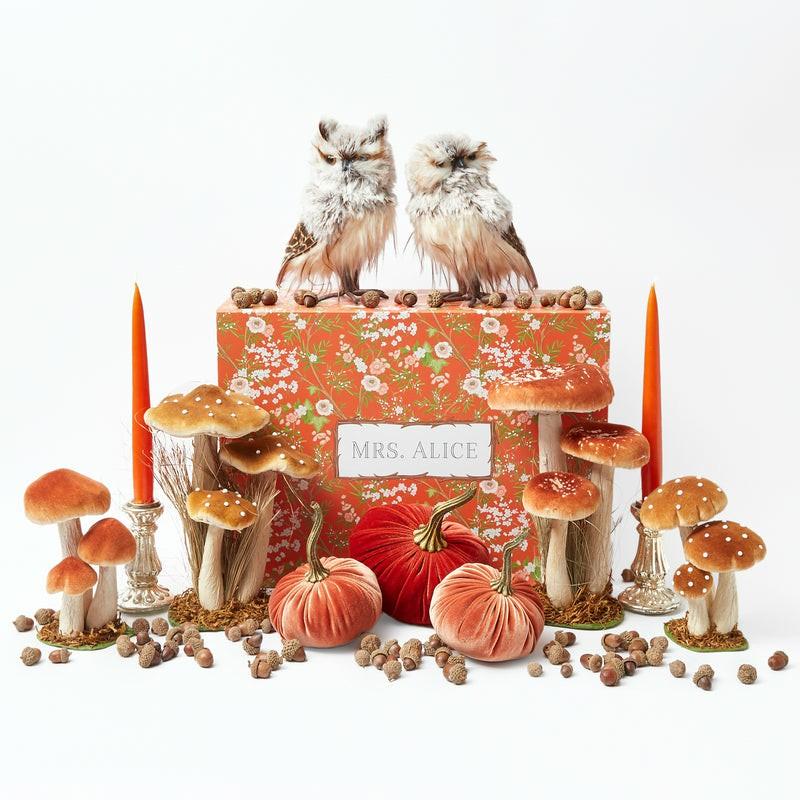 Joy Of Autumn Decoration Set Autumn Decorations