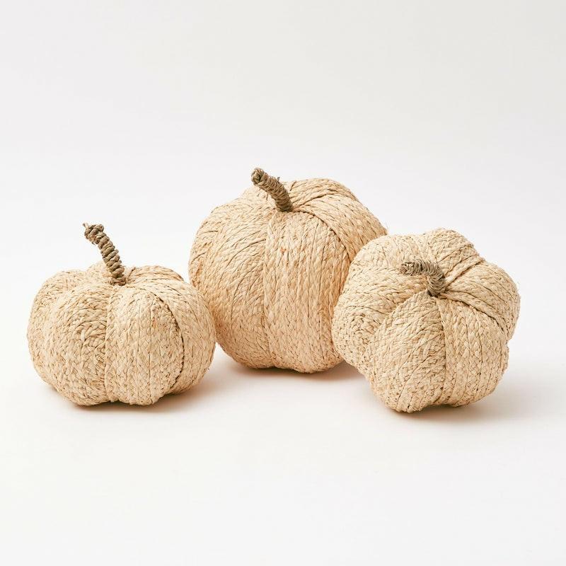 Raffia Pumpkin Family Autumn Decorations