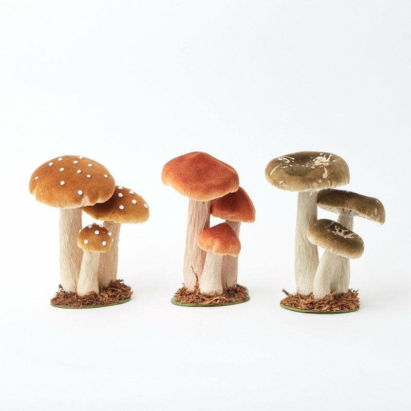 Small Mixed Mushroom Set Decorations