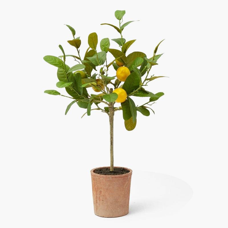 Lemon Tree (Large) Decorations